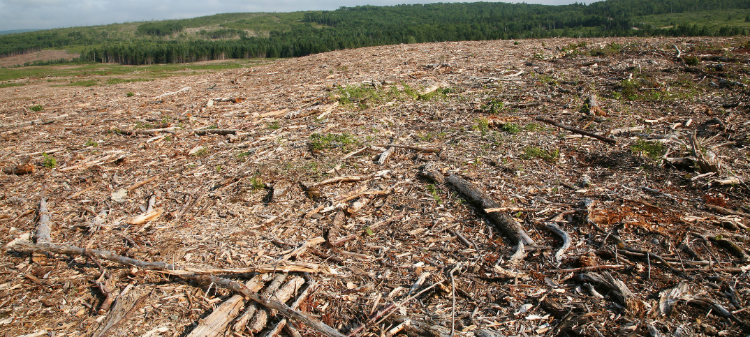 18 Advantages and Disadvantages of Deforestation