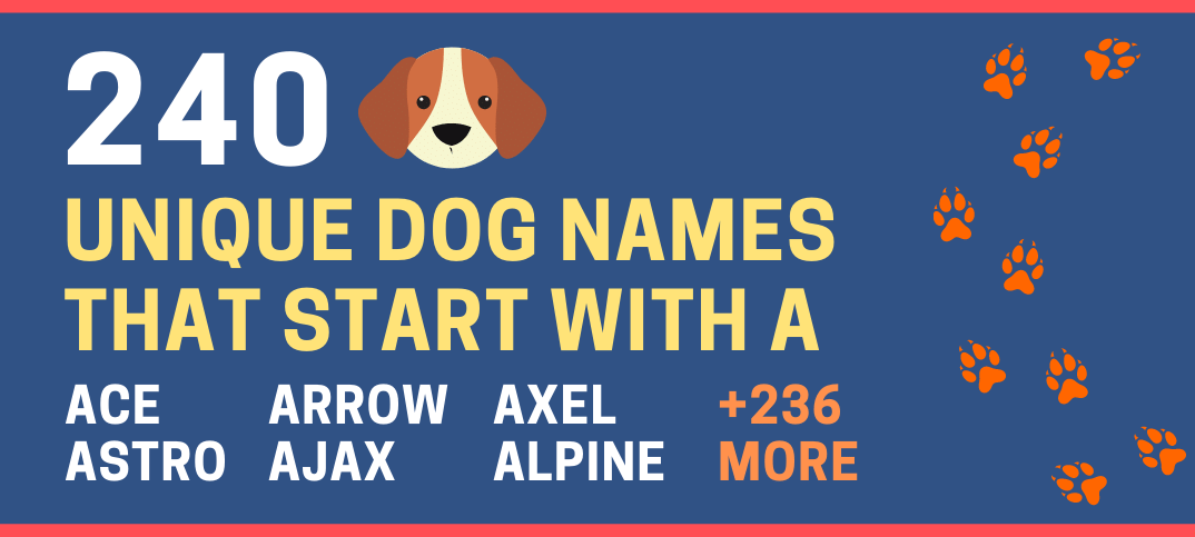 cool-dog-names-that-start-with-a