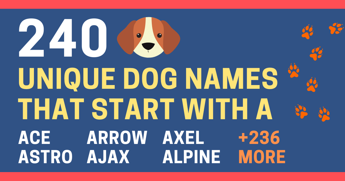 Unique Dog Names Start With C