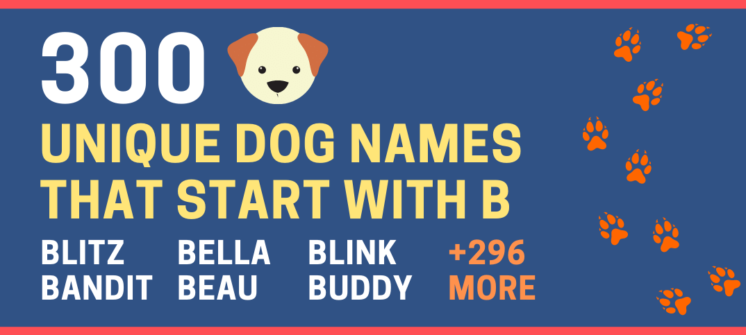 Male Dog Names A and B