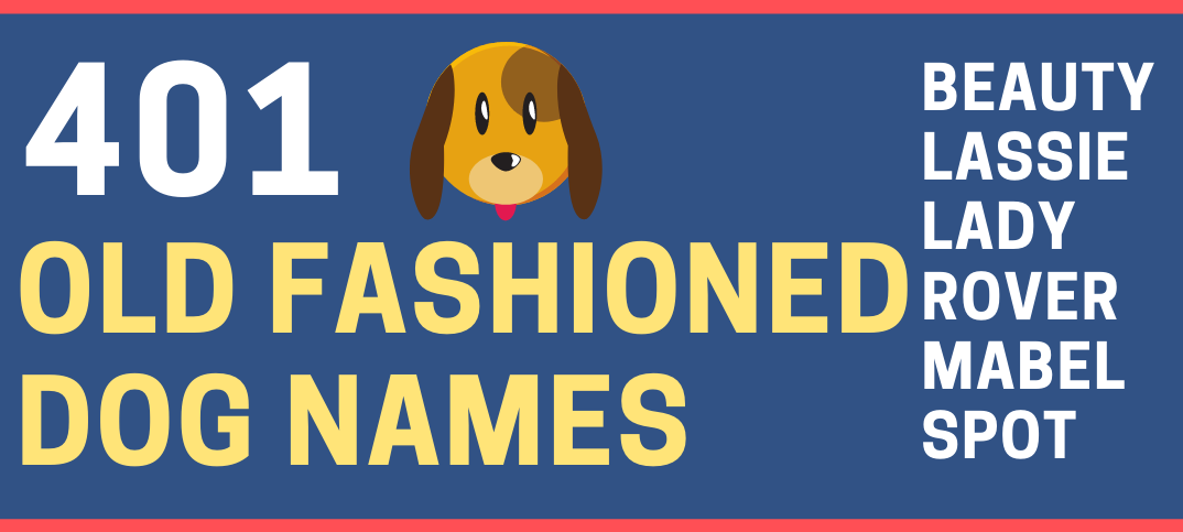 401 Classic Old Fashioned Dog Names For Male Female Dogs Green Garage