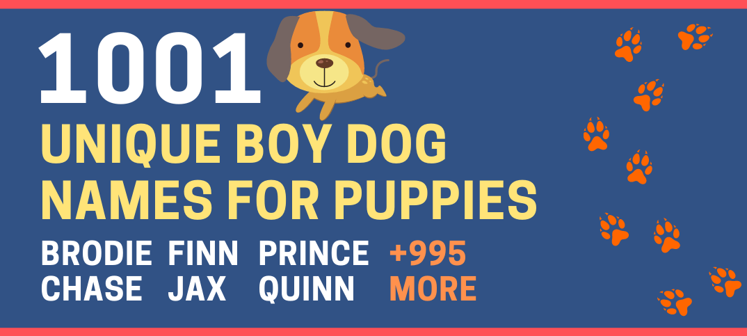 Boy Dog Names