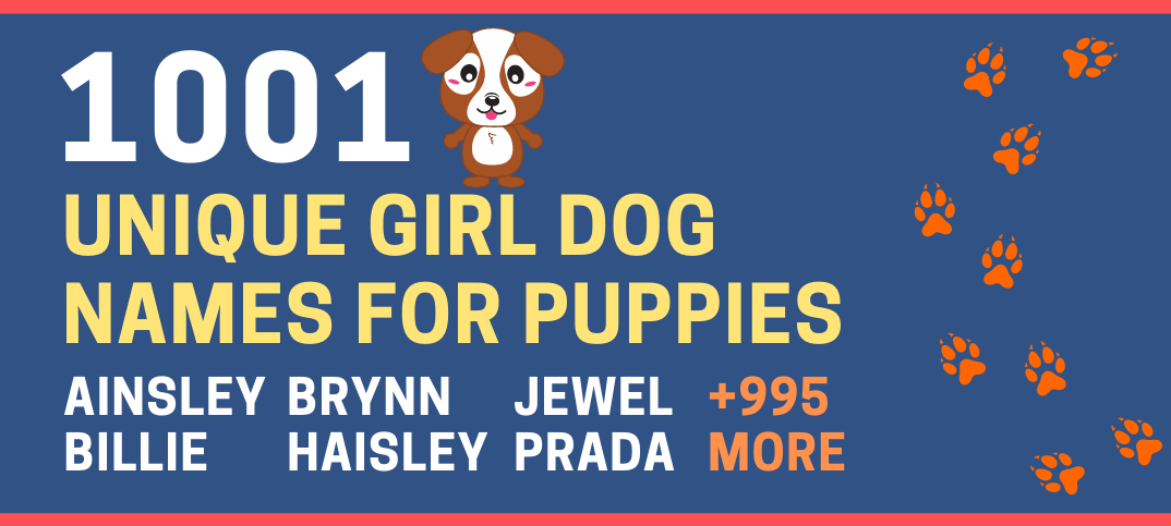 1001 Most Unique Girl Dog Names For Your Cute Puppy Green Garage