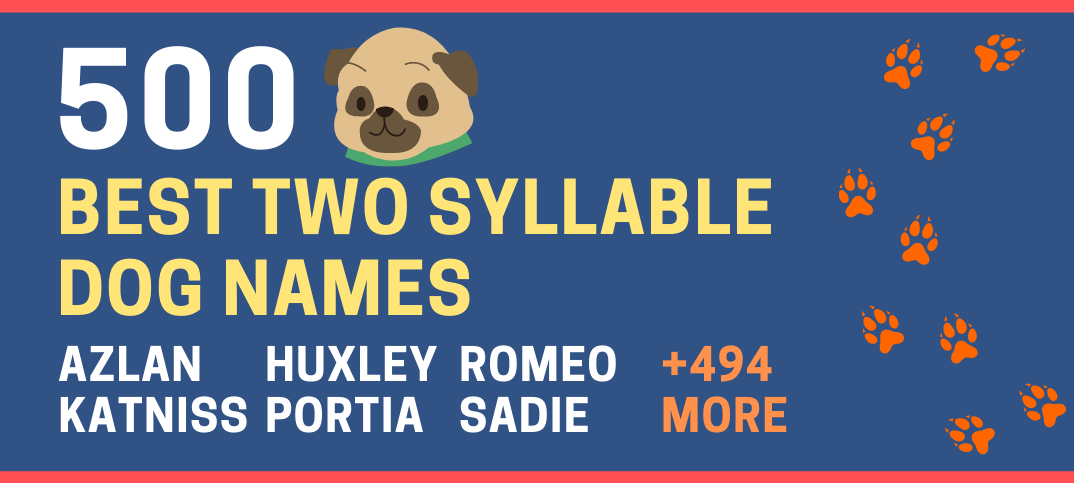 Two Syllable Dog Names